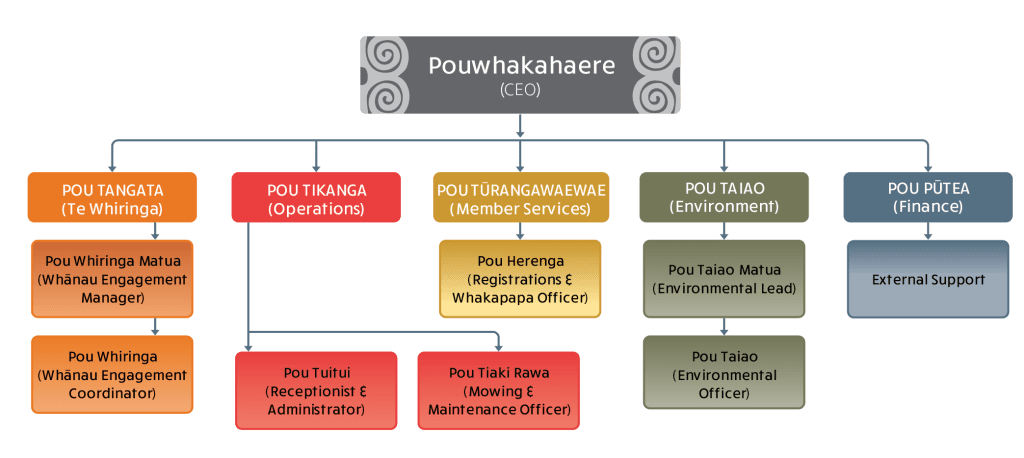 entity and office structure ngatimutunga